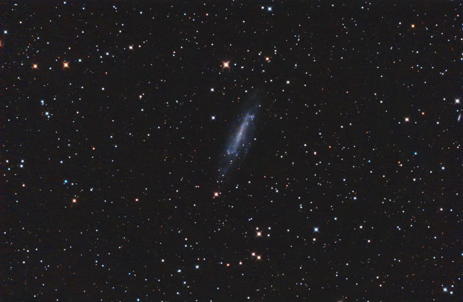 NGC4236